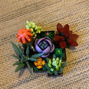 Lego succulent set
